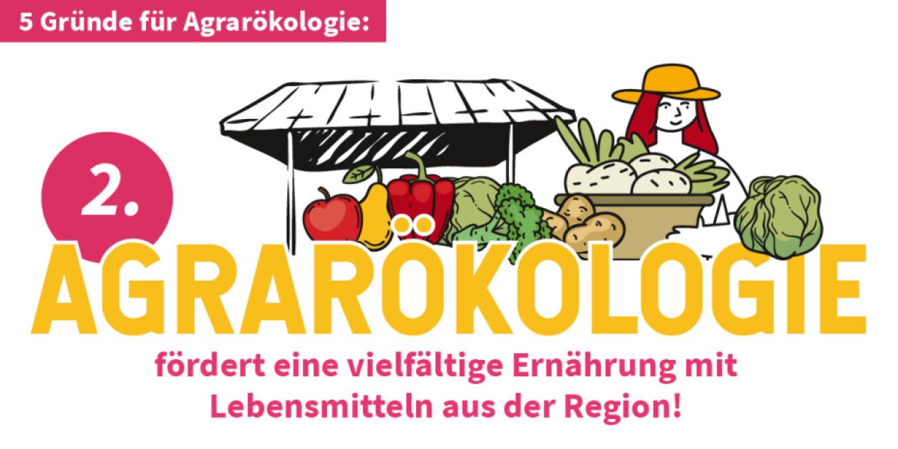 Agrarökologie fördert eine vielfältige Ernährung mit Lebensmitteln aus der Region!