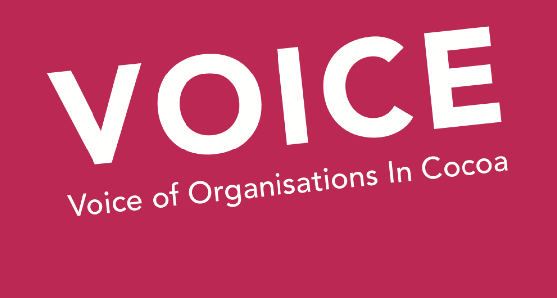 Voice Network Logo
