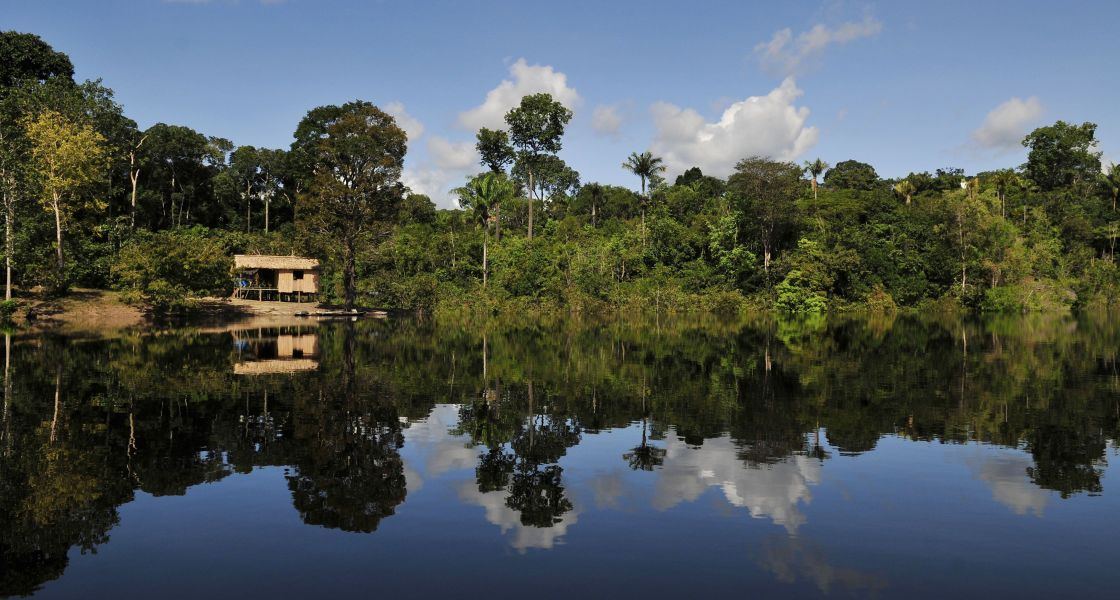 Der brasilianische Amazonas ist bekannt für seine große Biodiversität. Ihr möglicher Verlust ist eine noch größere Herausforderung als der Klimawandel. Foto: Neil Palmer (CIAT) (CC BY-SA 2.0)