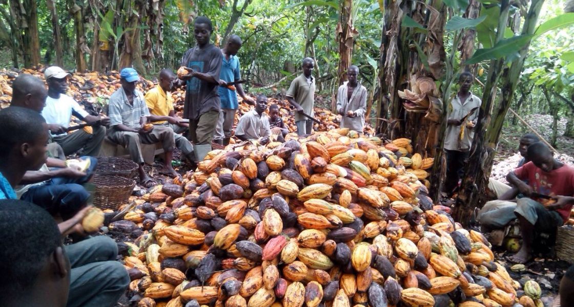Bild: Commodities2015/Wikimedia (CC BY-SA 4.0)