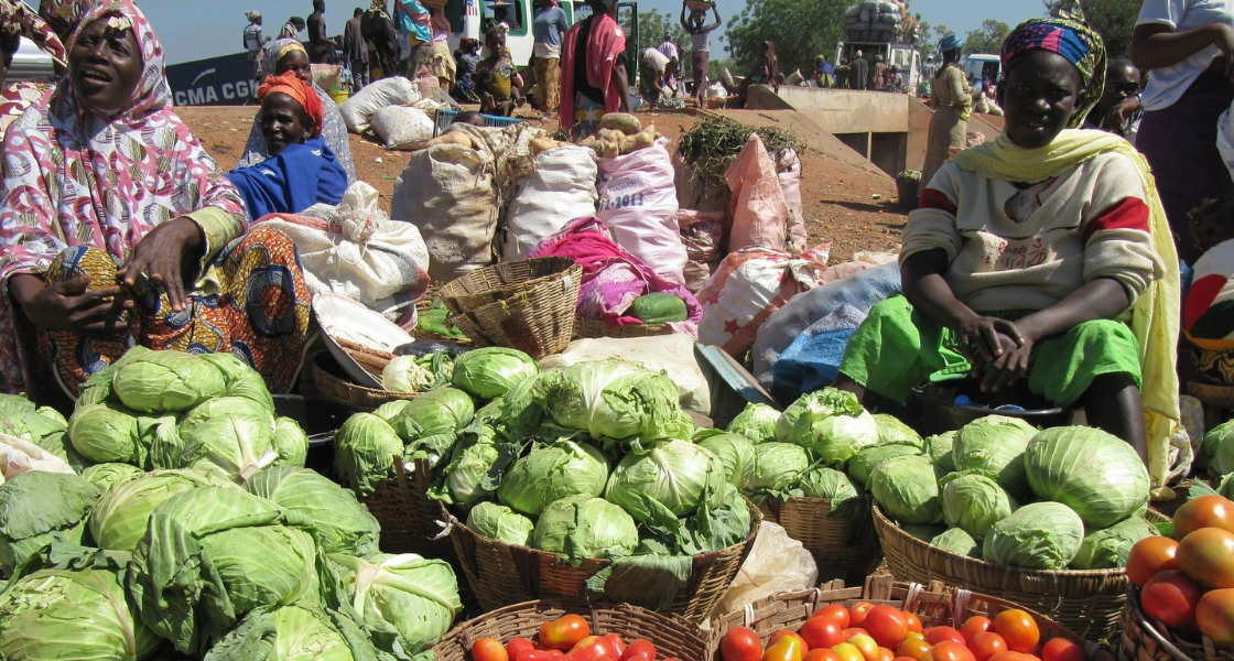 Zwei Frau in Mali verkaufen Kohl auf dem Markt Zwei Frauen verkaufen Gemüse auf dem Markt