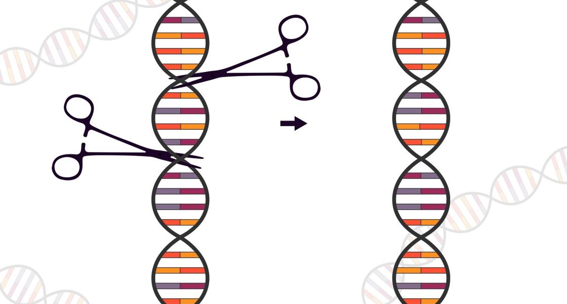 Scheren zerschneiden einen bunten und animierten DNA-Strang 