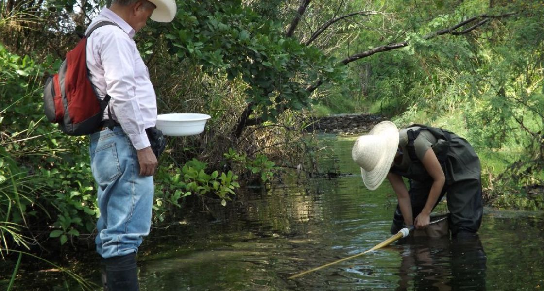 Gemeindemitglieder kontrollieren des Wasser des Flusses Ostúa auf giftige Rückstände. | Foto: Cortesía Madre Selva