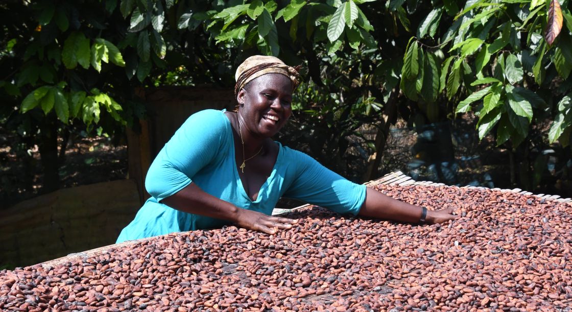 Eine Frau hält ihre Hände auf einen grißen Tisch mit vielen getrockneten Kakaobohnen