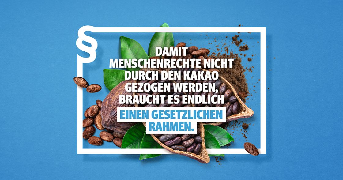 Eine Grafik: blauer Hintergrund ein weißer Rahmen davor mit einem Aufruf und dahinter eine Kakaofrucht