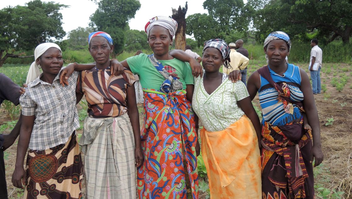 Frauen auf einem Feld in Mosambik. Frauen auf einem Feld in Mosambik