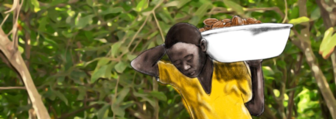 Ein Kind trägt eine Schüssel mit Kakaofrüchten auf der Schulter
