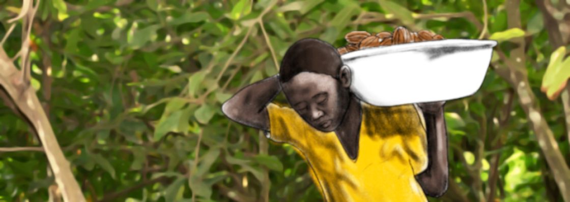 Kinderarbeit in Westafrika; Illustration Sascha Collet Ein Kind trägt eine Schüssel mit Kakaofrüchten auf der Schulter
