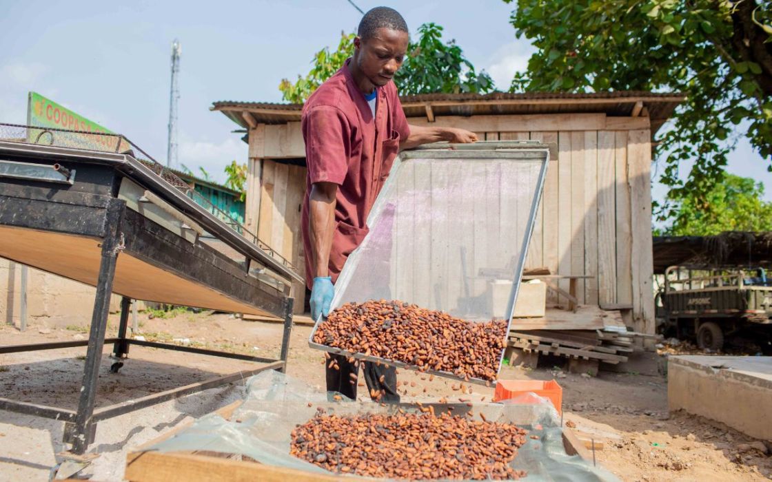 Kakaoproduktion, Côte d'Ivoire, 2022