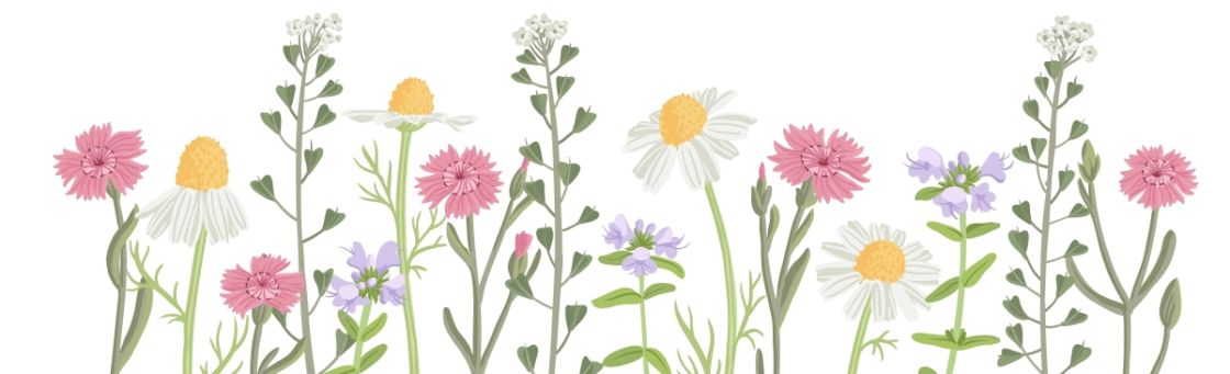 Freude schenken mit einer Spende verschiedene gezeichnete Feldblumen