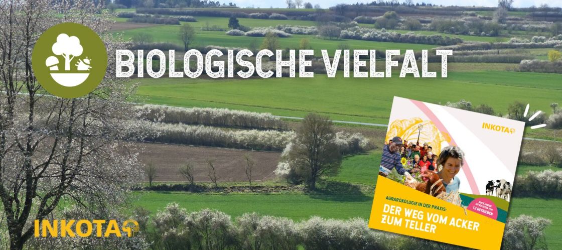 Hügelige Landschaft aus grünen Feldern und blühenden Sträucherner
