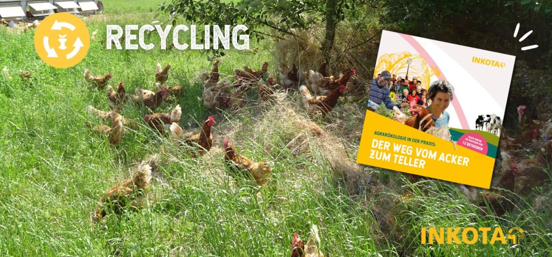 Eine Coolage aus Fot mit freilaufenden Hühnern und einem Broschürencover