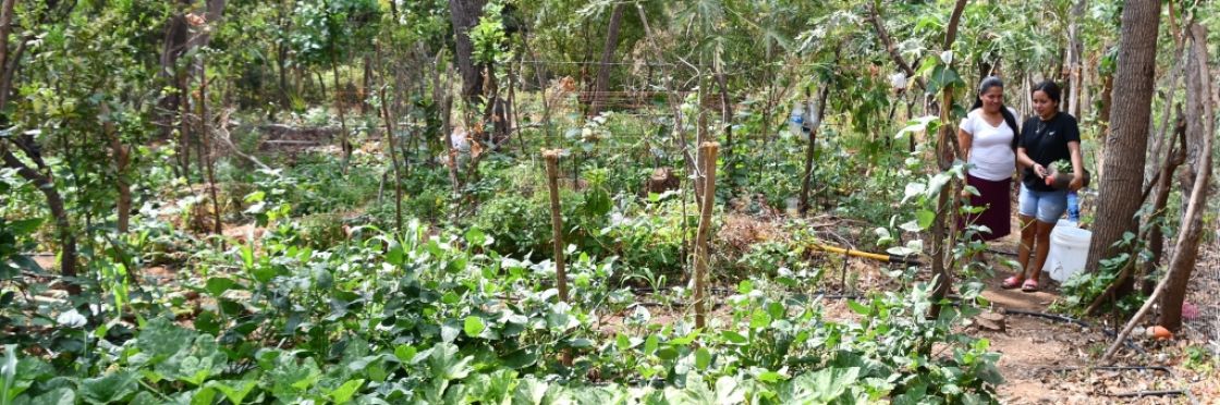 Ein Gemüsegarten und zwei Frauen