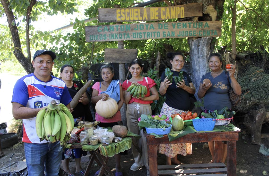 Eine Gruppe von Personen steht im Freien um zwei mit Obst und Gemüse beladenen Tischen herum. Die Menschen lächeln in die Kamera und präsentieren ihre Ernte.