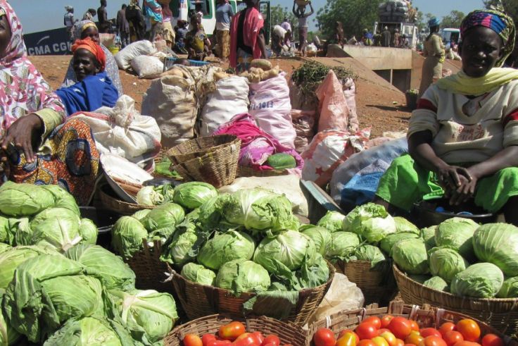 Zwei Frau in Mali verkaufen Kohl auf dem Markt Zwei Frauen verkaufen Gemüse auf dem Markt