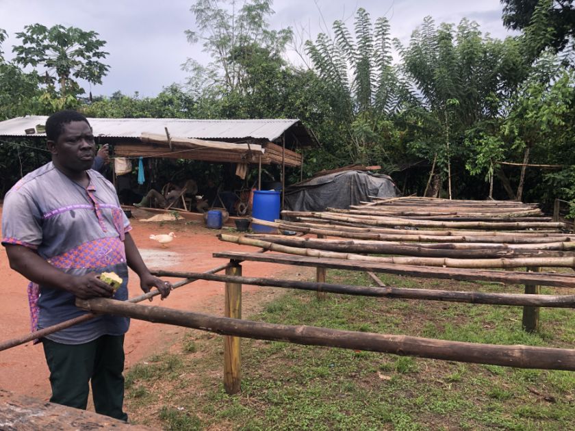 Kakaobauer aus der Côte d'Ivoire erklärt den biologischen Kakaoanbau