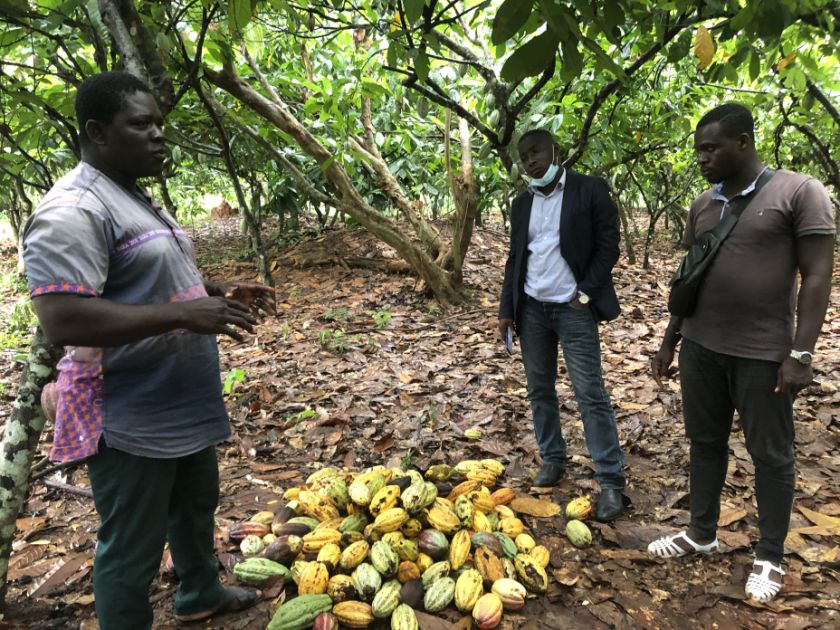 Kakaobauer aus der Côte d'Ivoire erklärt den biologischen Kakaoanbau