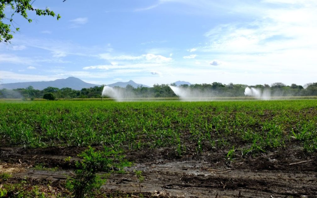 Bewässerung von Zuckerrohr, El Salvador 