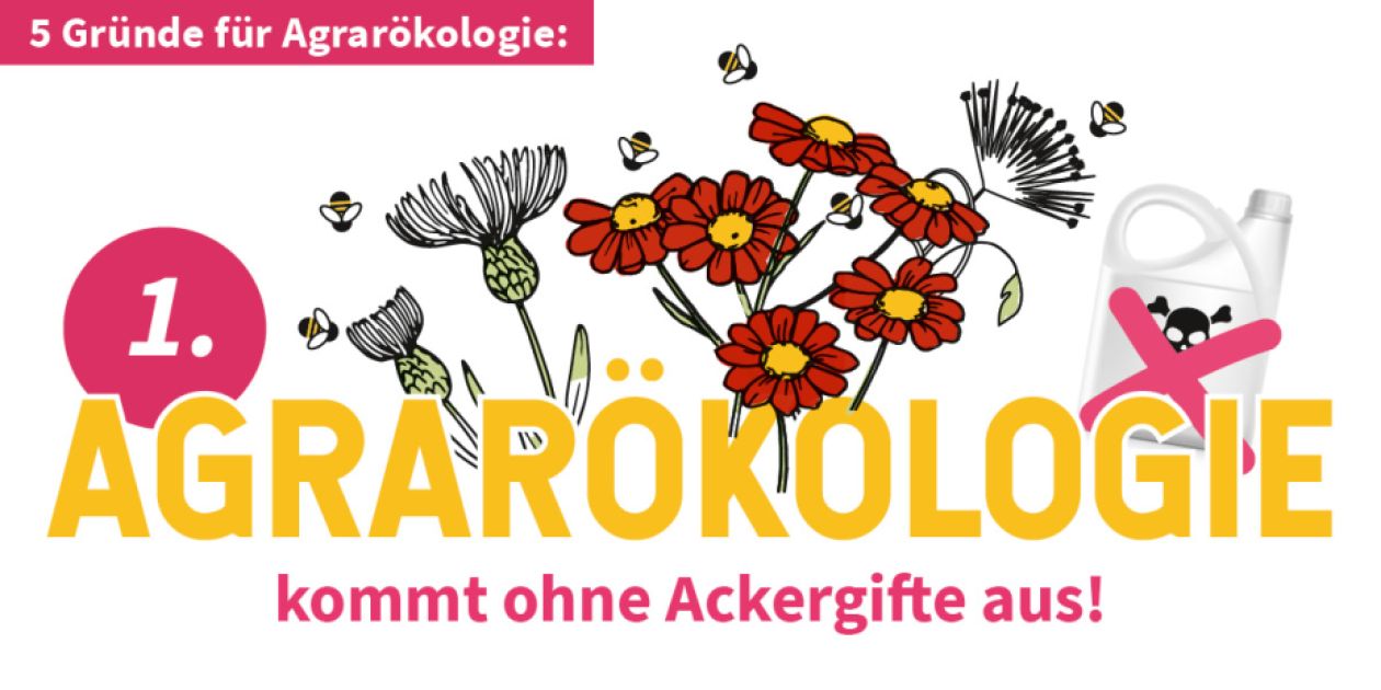 Agrarökologie kommt ohne Ackergifte aus!