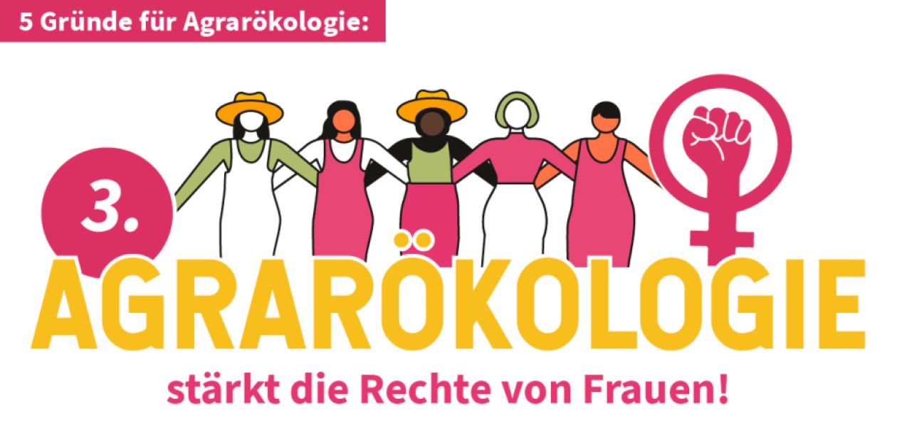 Agrarökologie stärkt die Rechte von Frauen!