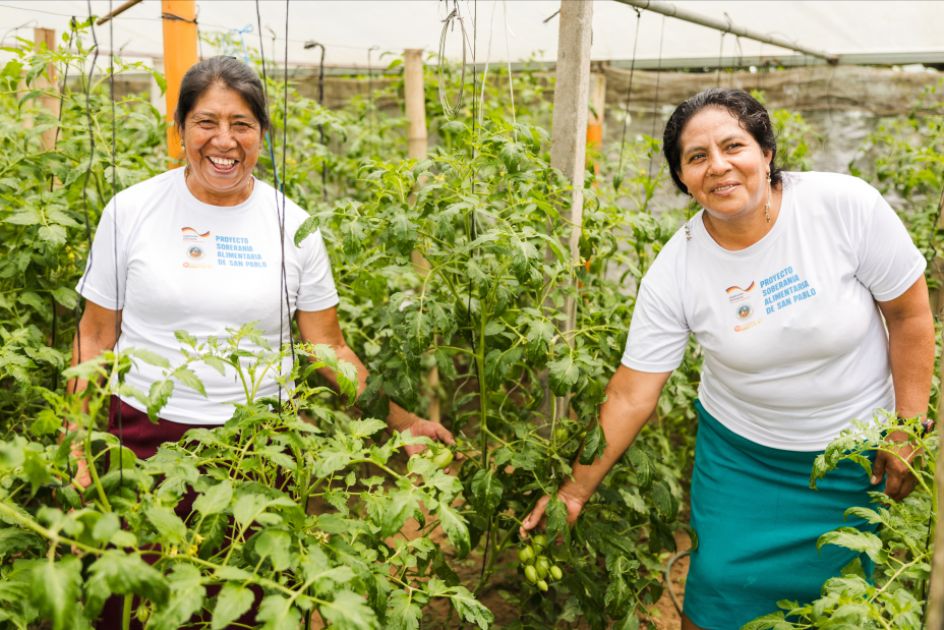 Foto von zwei Frauen in einem Gewächshaus umgeben von großen Tomatenpflanzen