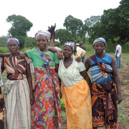 Frauen auf einem Feld in Mosambik