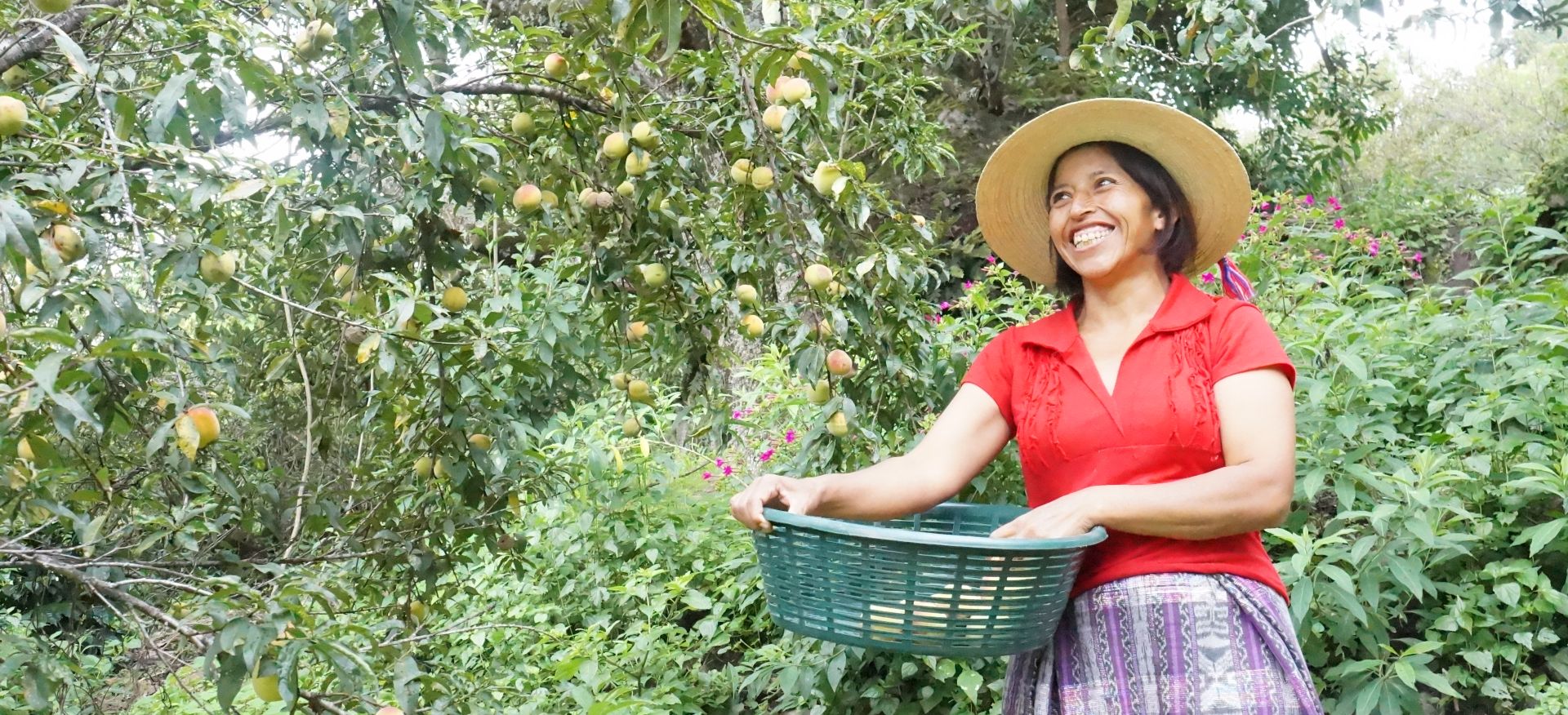 Foto: Landpastorale der Diözese San Marcos in Guatemala