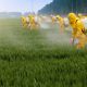 Landwirte, die auf Weizenfeld Pestizide mit Schutzkleidung spritzen shutterstock_547553083, Jinning Li