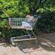 Einkaufswagen mit Müll am Straßenrand in Berlin