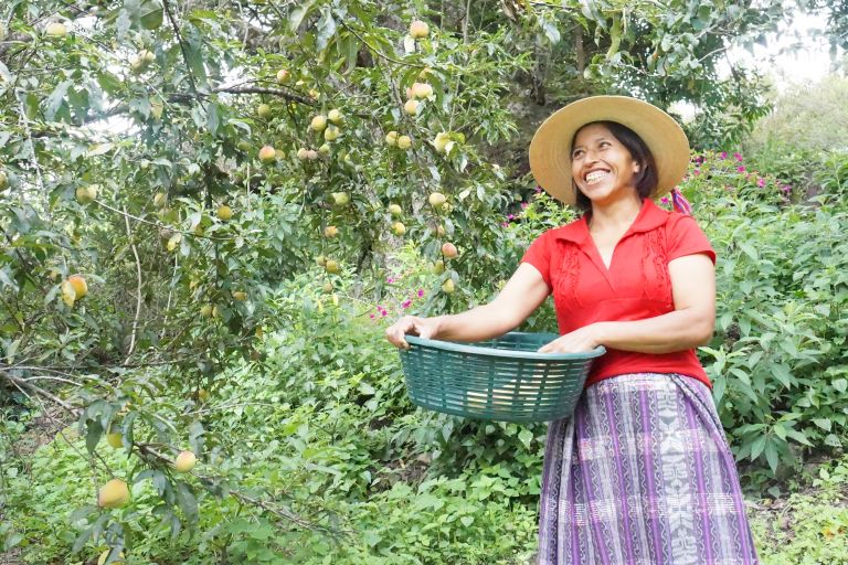 Foto: Landpastorale der Diözese San Marcos in Guatemala