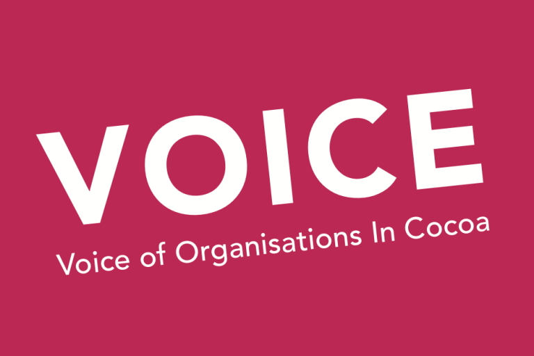 Voice Network Logo