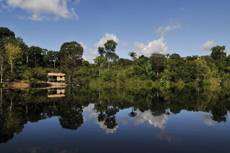Der brasilianische Amazonas ist bekannt für seine große Biodiversität. Ihr möglicher Verlust ist eine noch größere Herausforderung als der Klimawandel. Foto: Neil Palmer (CIAT) (CC BY-SA 2.0)