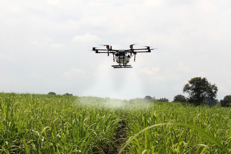 Wie hier in Kolumbien sprühen mittlerweile programmierte Drohnen Dünger und Pestizide auf die Felder. Foto: Herney, CCO