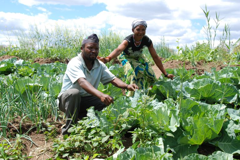 Agrarökologische Diversifizierung statt Großprojekte: UNAC hat eine völlig andere Agraragenda als die mosambikanische Regierung. Foto: Christine Wiid (INKOTA)