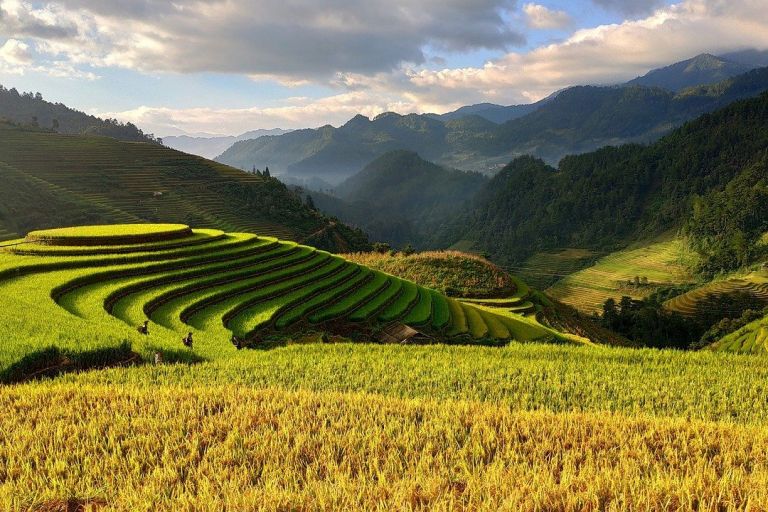 Vietnam Gleichberechtigung Von Frauen In Kleinen Schritten Inkota Netzwerk E V