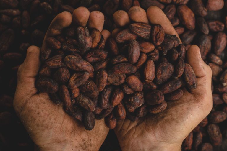 zwei Hönde halten Kakaobohnen und bilden ein Herz