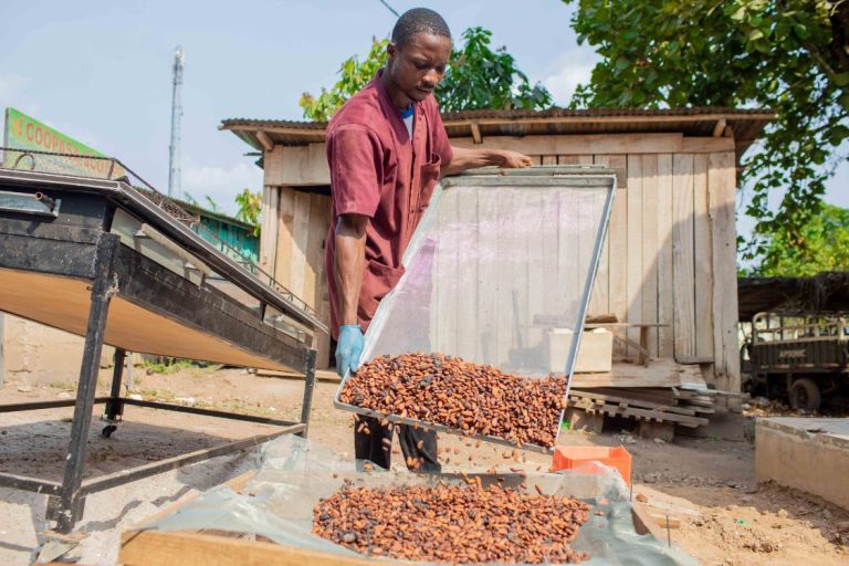 Kakaoproduktion, Côte d'Ivoire, 2022