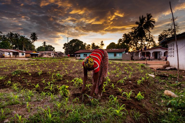 Bäuerin in Yougoro, Sierra Leone bei der Feldarbeit