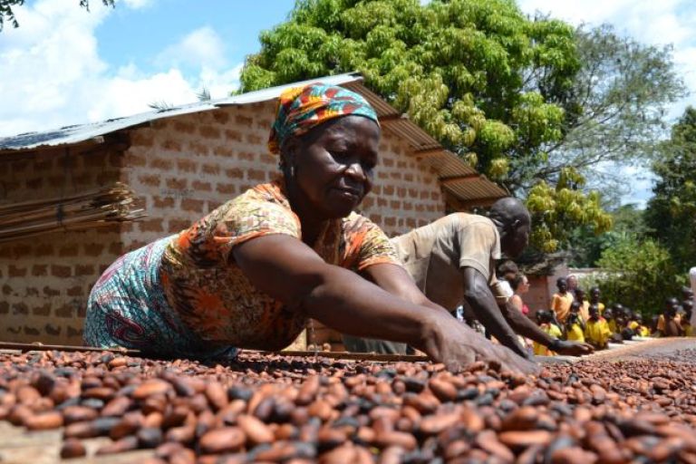 Ghana: Kakaotrocknung, Tereza Hornova